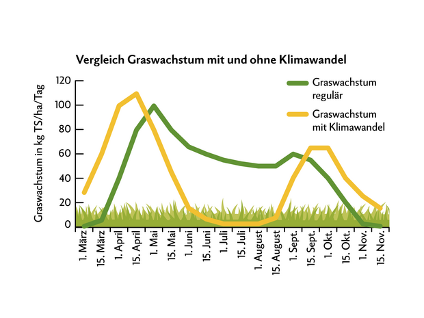 Grün: durchschnittlicher Verlauf des Graswachstums bis zum Jahr 2000. Gelb: bildet das Graswachstum mit klimawandelbedingten Trockenperioden ab.
