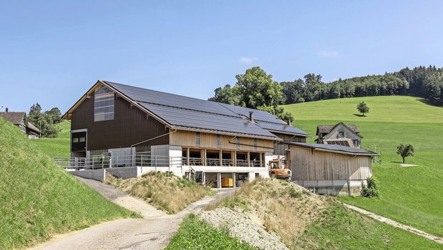 Familie Aerne errichtete mit viel Eigenleistung einen neuen Laufstall, in dem Holz aus dem eigenen Wald verbaut wurde – ein echtes Familienprojekt, das durch Aernes Baukenntnisse möglich wurde. 