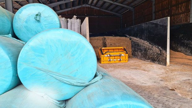 Der Mais lagert beim Betrieb Kronauer in Wädenswil in Fahrsilos. Das Gras wird bisher in Siloballen konserviert. Der Betrieb ist gut mechanisiert für die Silozange und den Ballenumschlag. Mit einem Hochsilo liesse sich die Fütterung jedoch leichter automatisieren.