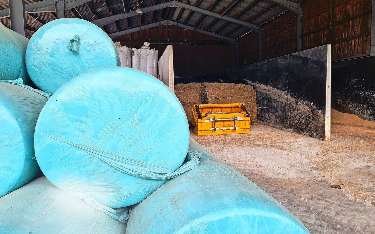 Der Mais lagert beim Betrieb Kronauer in Wädenswil in Fahrsilos. Das Gras wird bisher in Siloballen konserviert. Der Betrieb ist gut mechanisiert für die Silozange und den Ballenumschlag. Mit einem Hochsilo liesse sich die Fütterung jedoch leichter automatisieren.