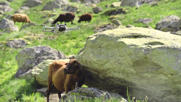 Drohnen werden insbe Drohnen werden insbesondere zur Tierkontrolle, Überwachung von Zäunen und zur Schadensabschätzung nach Wolfsangriffen eingesetzt.