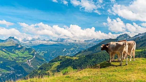 Gesucht sind Menschen, die ihren Betrieb mit Weitblick führen.