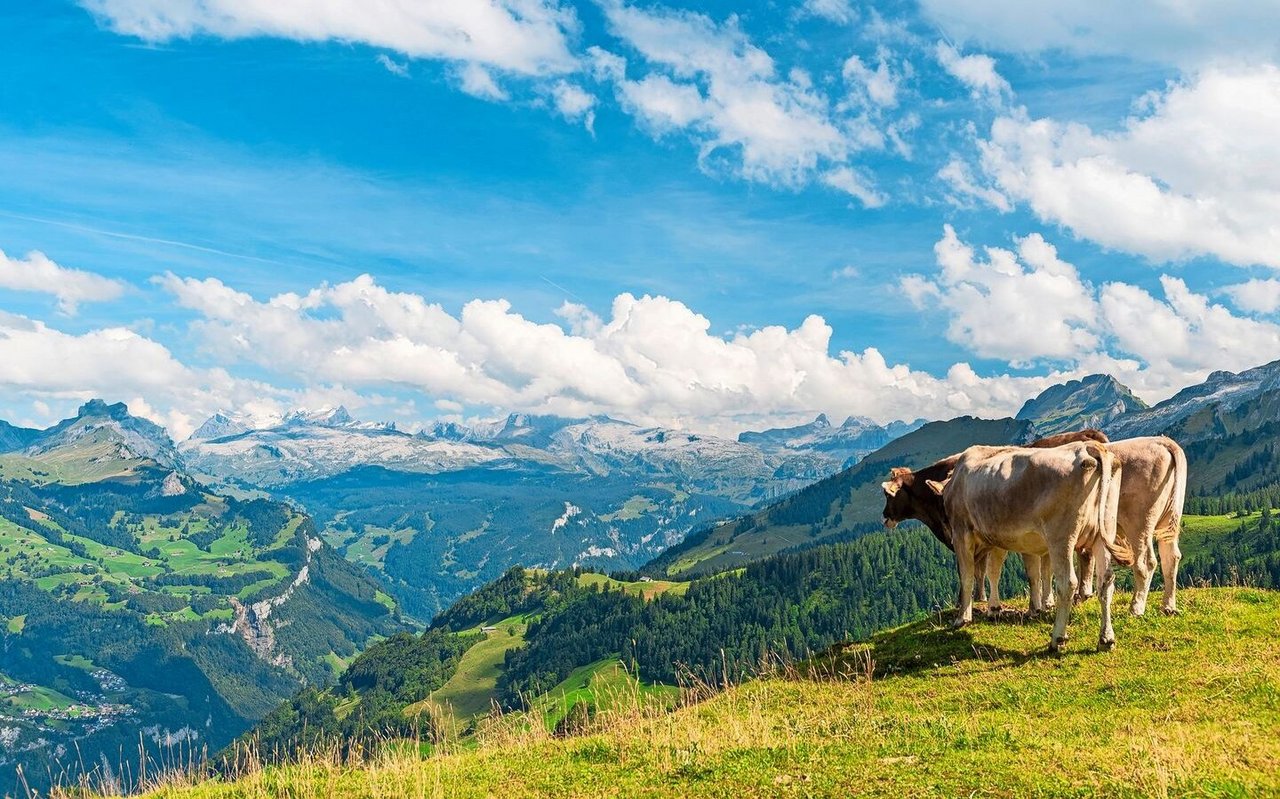 Gesucht sind Menschen, die ihren Betrieb mit Weitblick führen.