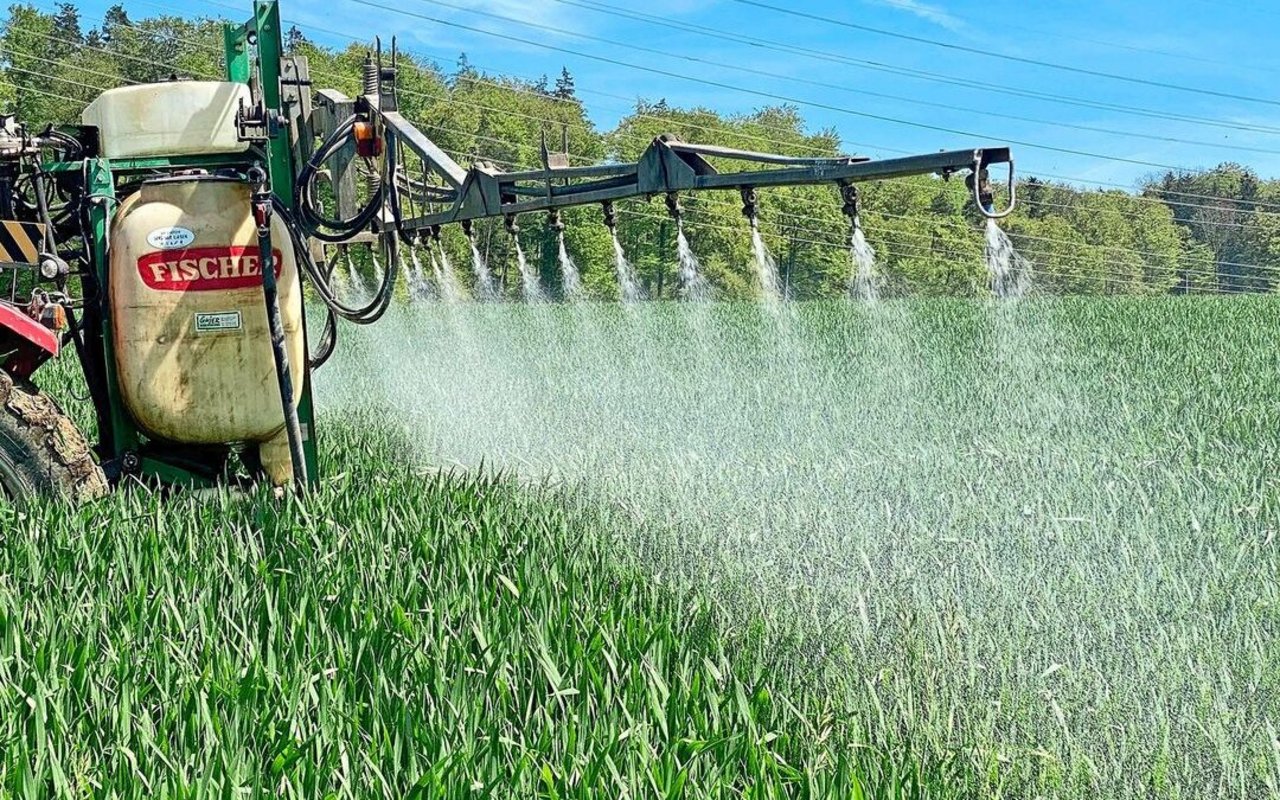 Mit «Mefentrifluconazol» ist seit Langem wieder ein neuer Triazol-Wirkstoff im Getreide zugelassen. Der Zungenbrecher ist ein langersehnter Baustein in der Resistenzvorbeugung. 