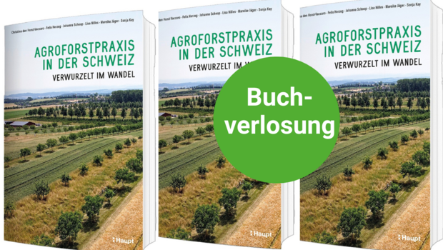 Das Buch «Agroforstpraxis in der Schweiz» fasst den aktuellen Wissensstand zusammen und gibt wertvolle Praxistipps.