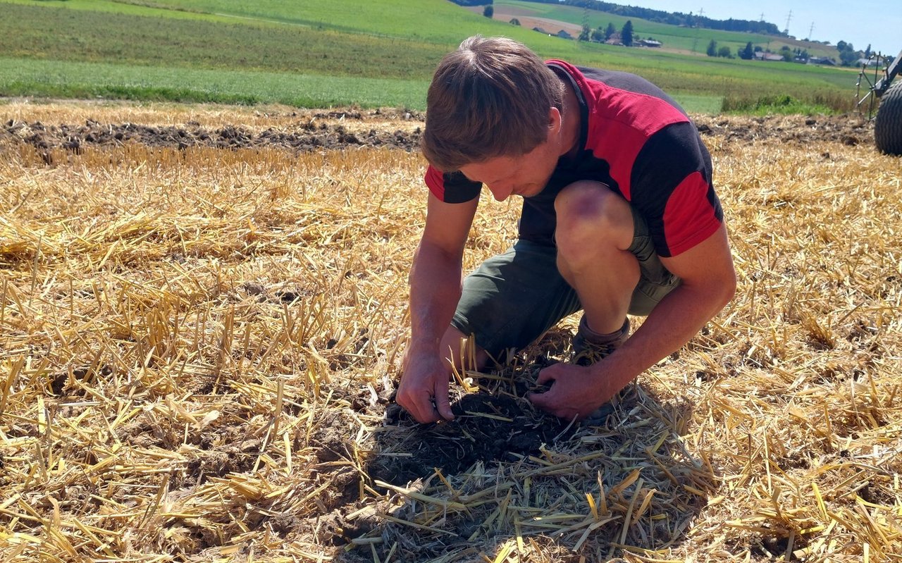 Simon Bernhard hat sich extra ein GPS für den Traktor angeschafft. Aufgrund der geringen Bodenbearbeitung mit Direktsaat kann man die Saatreihen in den Stoppeln kaum erkennen.