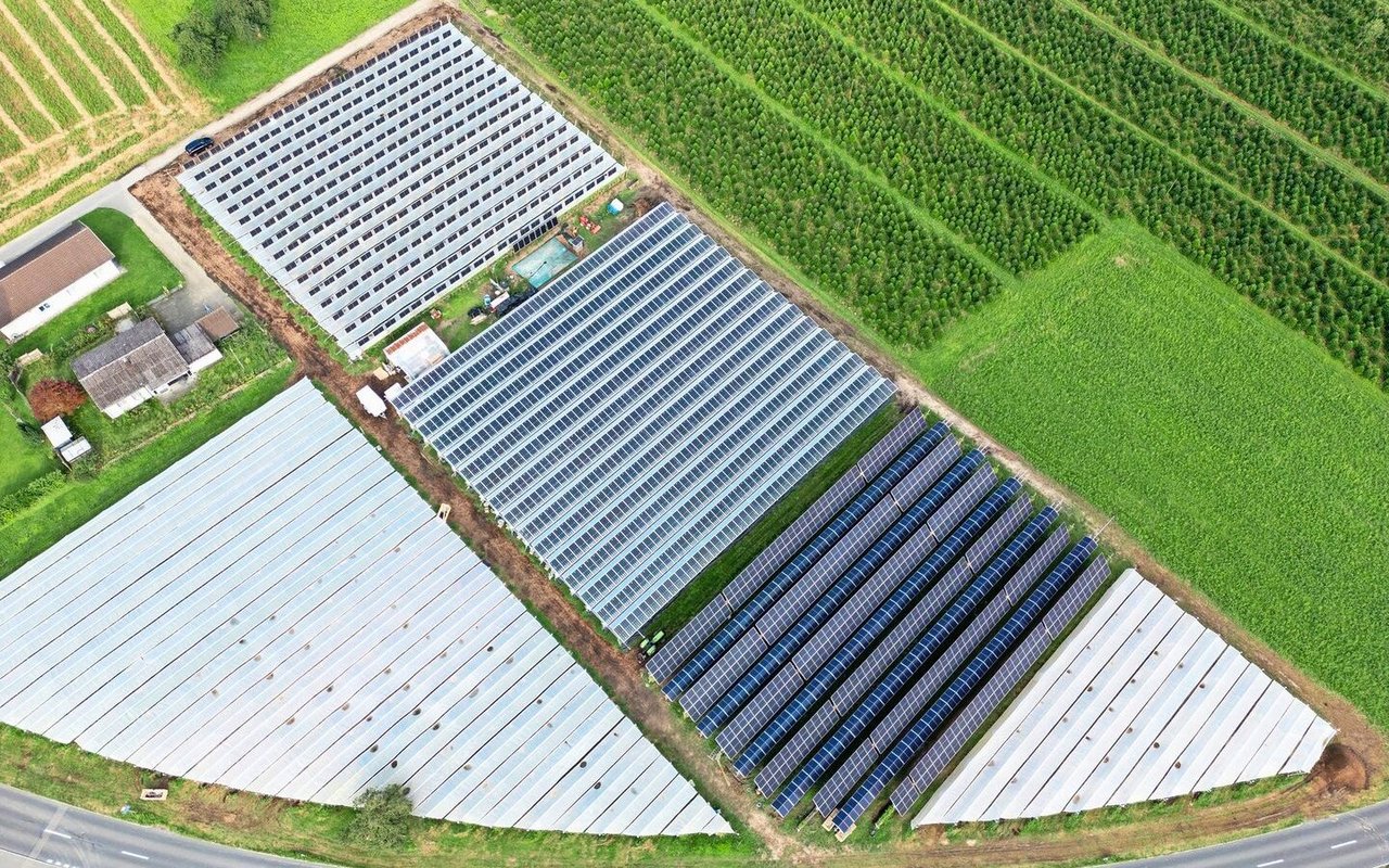 Die Beerenkulturen von Heinz Schmid mit PV-Anlagen. Unter den weissen Planen wachsen Beeren mit konventionellem Hagel- und Sonnenschutz.