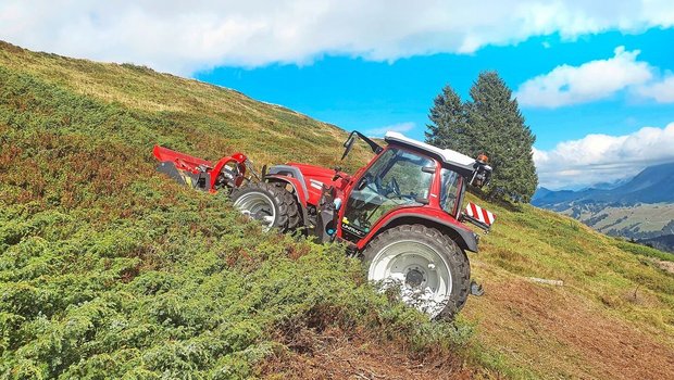 Hier wird im Sömmeru Hier wird im Sömmerungsgebiet Zwergwacholder mit dem Mulcher zerkleinert. Zur Entbuschung ist dazu eine Bewilligung notwendig.