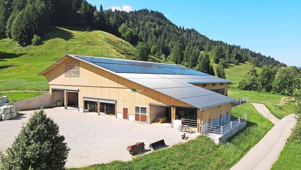 Ein neuer Stall muss Ein neuer Stall muss so gebaut sein, dass tägliche Routinearbeiten mit möglichst wenig Aufwand erledigt werden können.