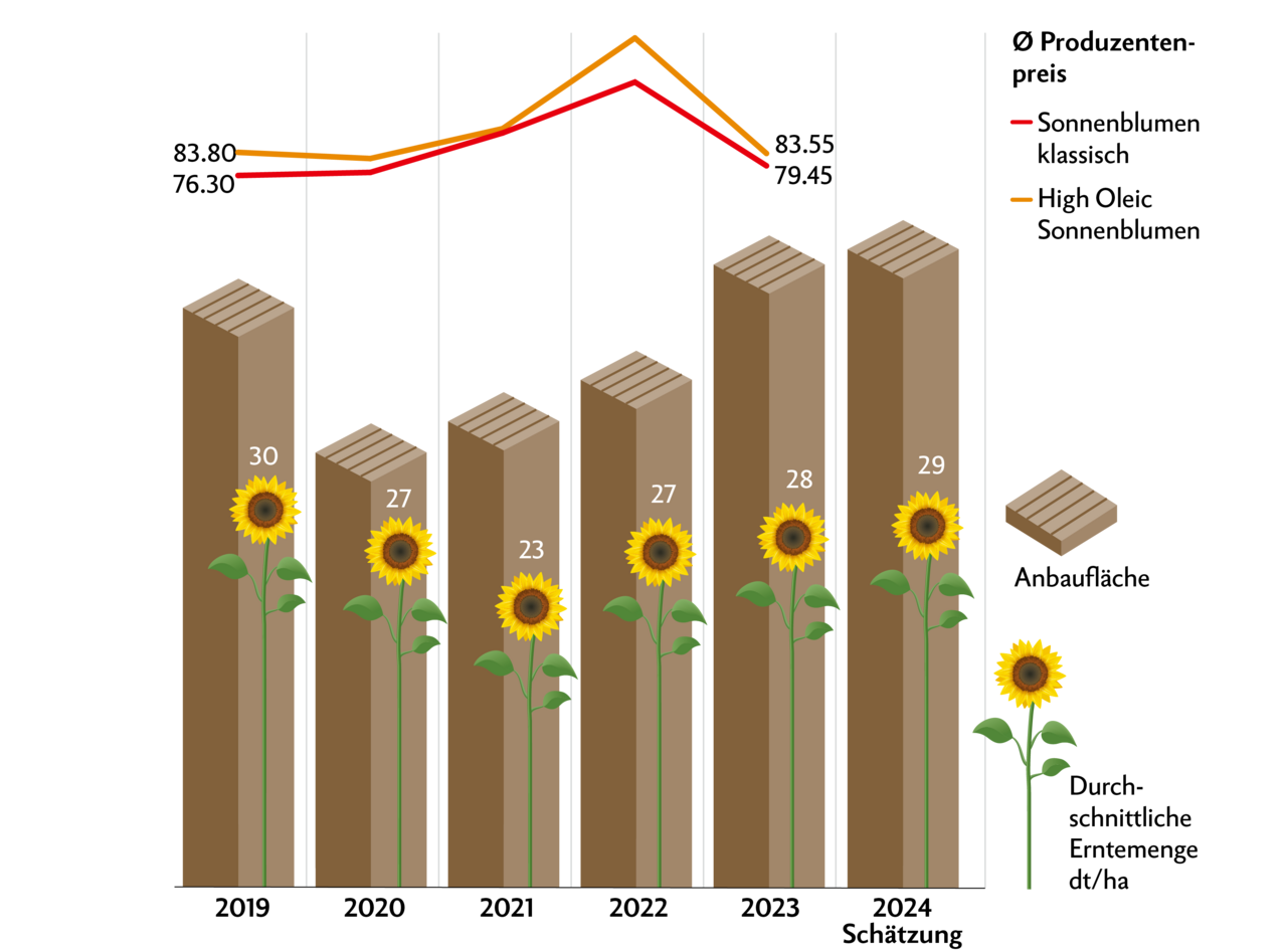 Wegen den hohen Preisen im 2022 sind 2023 die Sonnenblumen-Anbauflächen stark angestiegen. Produzentenpreise für 2024 sind noch nicht bekannt. 