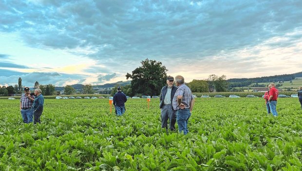 An der Flurbegehung An der Flurbegehung des Feldversuches in Münsingen wurde rege diskutiert.