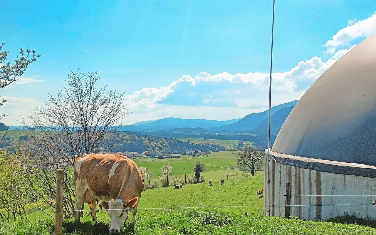 Neue Biogasprojekte können sich über stabile Preise freuen. Bestehende Anlagen sind wirtschaftlich gefährdet, wenn der KEV-Vertrag ausläuft.