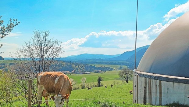 Neue Biogasprojekte können sich über stabile Preise freuen. Bestehende Anlagen sind wirtschaftlich gefährdet, wenn der KEV-Vertrag ausläuft.