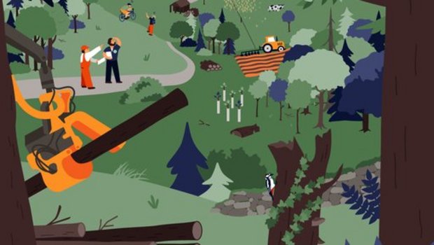 Vielfältige Interess Vielfältige Interessen im Wald – von Freizeit über Wirtschaft bis Naturschutz.