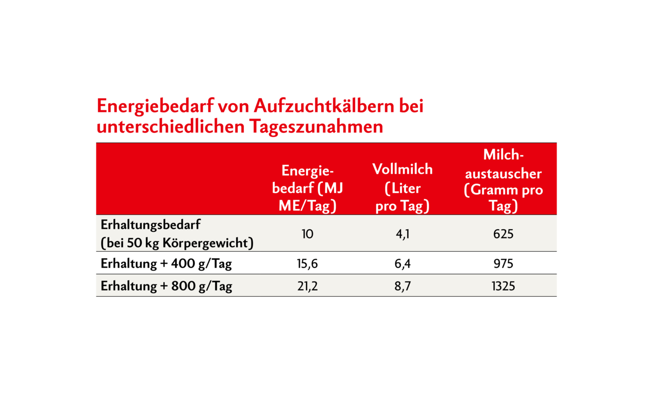 Angegeben ist der tägliche Energiebedarf eines Kalbes in MJ ME (metabolische Energie). Vollmilch liefert pro Liter 2,43 MJ. Somit sind allein für den Erhaltungsbedarf täglich 4,1 Liter Vollmilch notwendig. Soll zusätzlich zum Erhaltungsbedarf eine tägliche Zunahme von 400 g/Tag erreicht werden, so braucht das Kalb 6,4 Liter Milch beziehungsweise 975 g Milchaustauscher (mit einem angenommenen Energiegehalt von 16 MJ ME/kg).