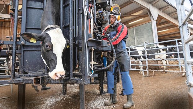 Michael Suter ist Landwirt, Agronom und Klauenpfleger. Momentan arbeitet er in einem 80-Prozent-Pensum als Klauenpfleger.