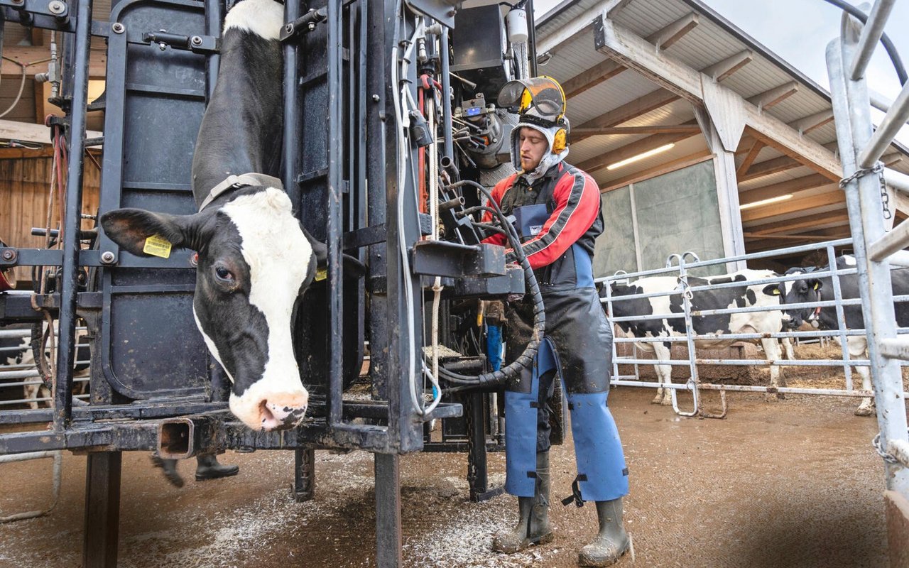 Michael Suter ist Landwirt, Agronom und Klauenpfleger. Momentan arbeitet er in einem 80-Prozent-Pensum als Klauenpfleger.