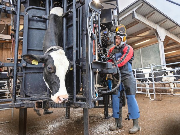 Michael Suter ist Landwirt, Agronom und Klauenpfleger. Momentan arbeitet er in einem 80-Prozent-Pensum als Klauenpfleger.