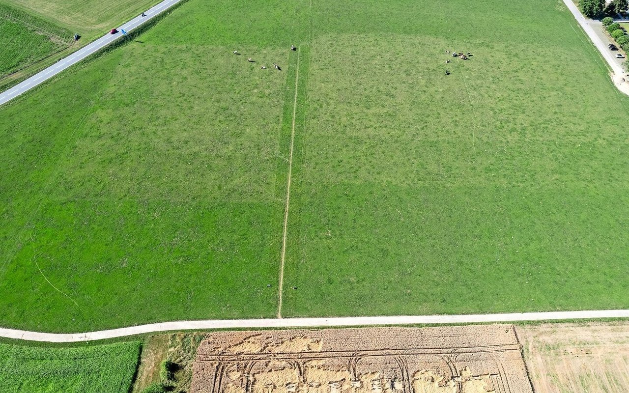 Der Versuchs-aufbau von Agroscope in Posieux FR. Die virtuelle Grenze ist nur durch die unterschiedliche Beweidung sichtbar.