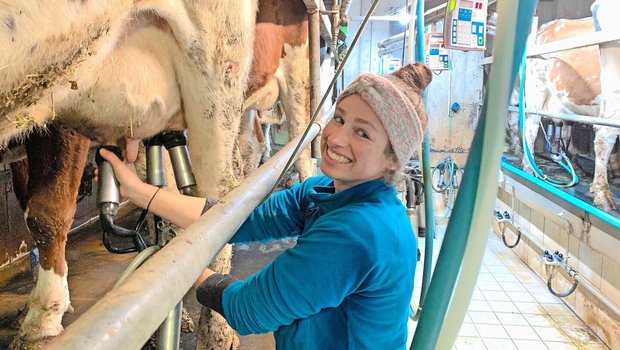 Lieber im Stall Kühe melken, als auf Maschinen Wiesen mähen: Daniela Köpfli bei der Lieblingsarbeit im Melkstand auf der Schwand. 