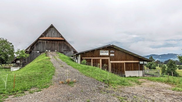 Der bestehende Stall Der bestehende Stall wurde auf der rechten Seite mit einem Boxenlaufstall ergänzt. Der neue Stallteil könnte bei Bedarf an beiden Stirnseiten verlängert werden.