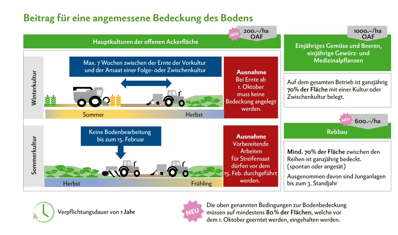 Die Anforderungen an den Beitrag für eine angemessene Bodenbedeckung wurden angepasst. Neu müssen noch mindestens 80 % der Ackerflächen, die vor dem 1. Oktober geerntet werden, bedeckt sein. Dafür wurde der Beitrag von Fr. 250.– auf Fr. 200.– gekürzt.