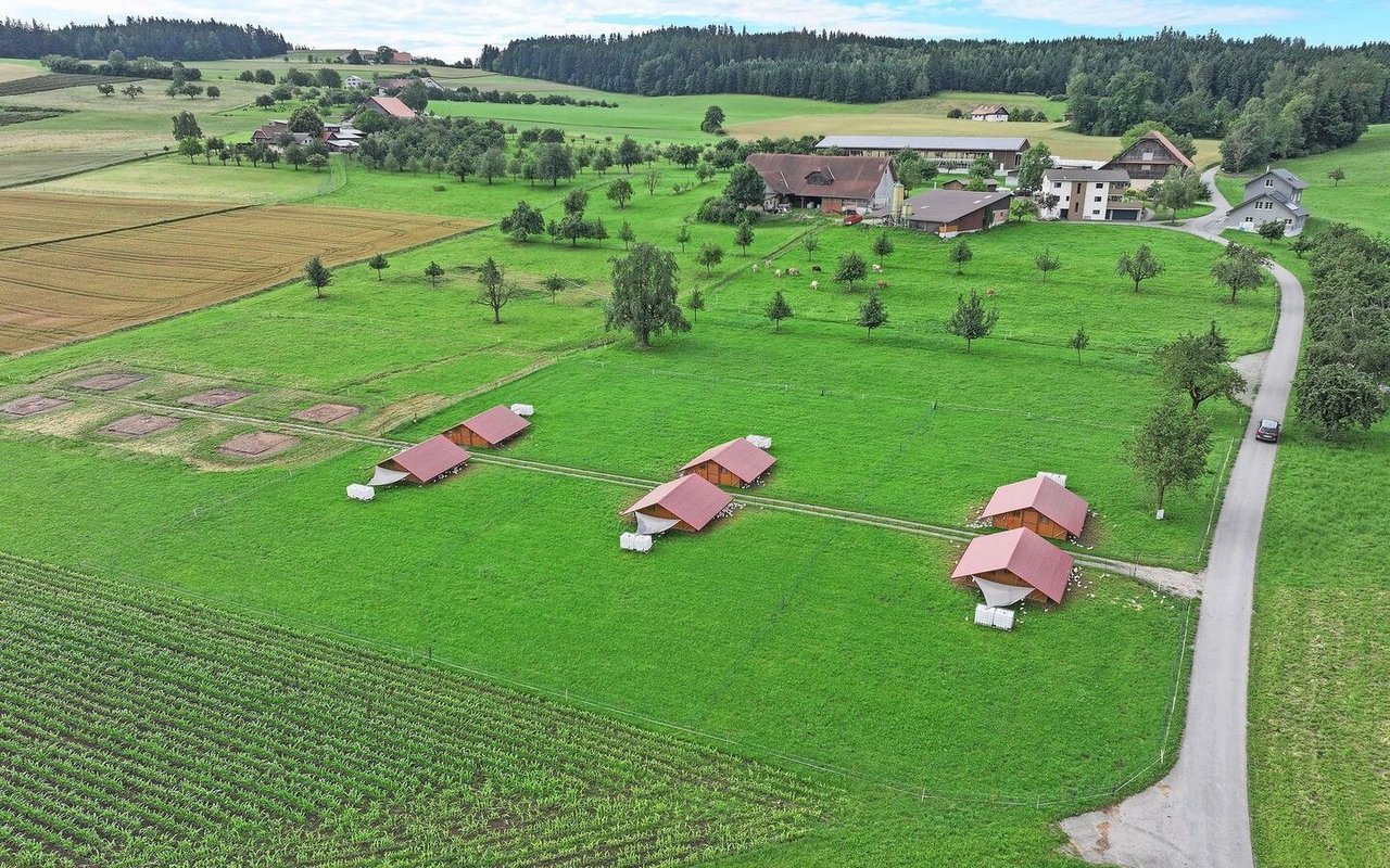 Eine Drohnenaufnahme zeigt die sechs mobilen Hühnerställe, die auf der Weide stehen. Im Hintergrund das Wohnhaus.