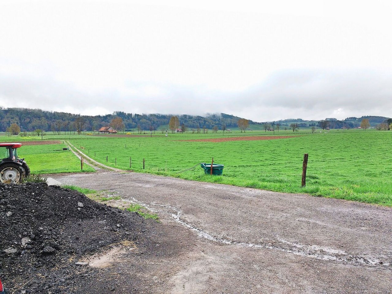 Manchmal kann ein bestehender Feldweg als Treibweg genutzt und Weideeingänge bei Bedarf verschoben werden. 