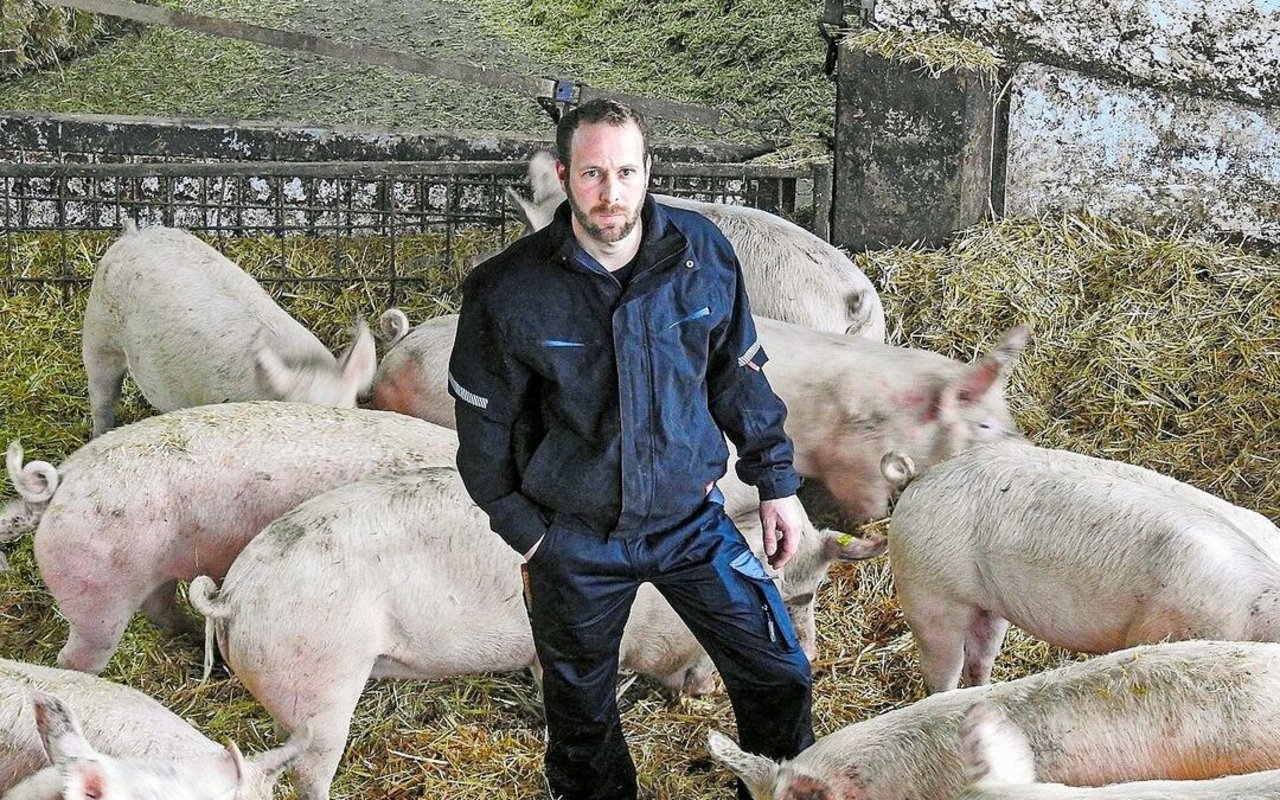 Landwirt Stefan Buri verfüttert schon seit vielen Jahren Lebensmittelnebenprodukte an seine Mastschweine.