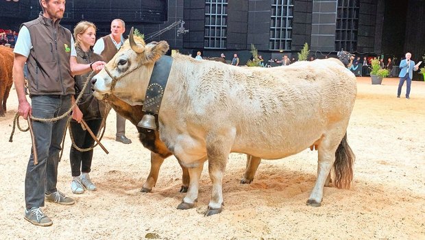 Auch 2024 sind Aubrac-Rinder in Vorführungen (1., 2. und 4. Oktober, Hall 3) und in einer Schau (3. Oktober, Zénith) zu bewundern. 