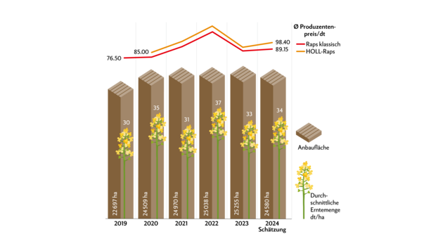 Nachdem die Rapspreise 2022 ein Hoch erlebten, sanken sie 2023 unter das Niveau des Jahres 2021. 2024 verzeichnet einen leichten Preisanstieg.