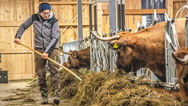 Von ihren 70 Rindern fällt viel Gülle an, welche Rebekka Strub mit Pflanzenkohle aufwertet. 