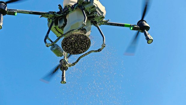 Sanft aus der Luft g Sanft aus der Luft gestreut: Die Drohne bringt Gras- und Kleesamen aufs Feld – der erste Schritt zu mehr Bodenruhe und besserer Feldhygiene.