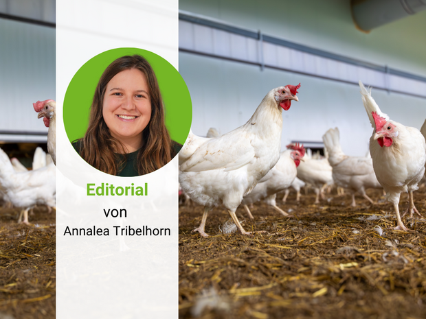 Damit LandwirtInnen am Schluss nicht auf den Mehrkosten sitzen bleiben, müssen alle Akteure der Wertschöpfungskette eine Zahlungsbereitschaft garantieren. 