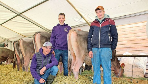 Die Gebrüder Sam, Tom und Noe Salzgeber (v. l. n. r) sind ein eingespieltes Team mit einer gemeinsamen Leidenschaft. Unter Züchtern kennt man sie auch als «Three S». 