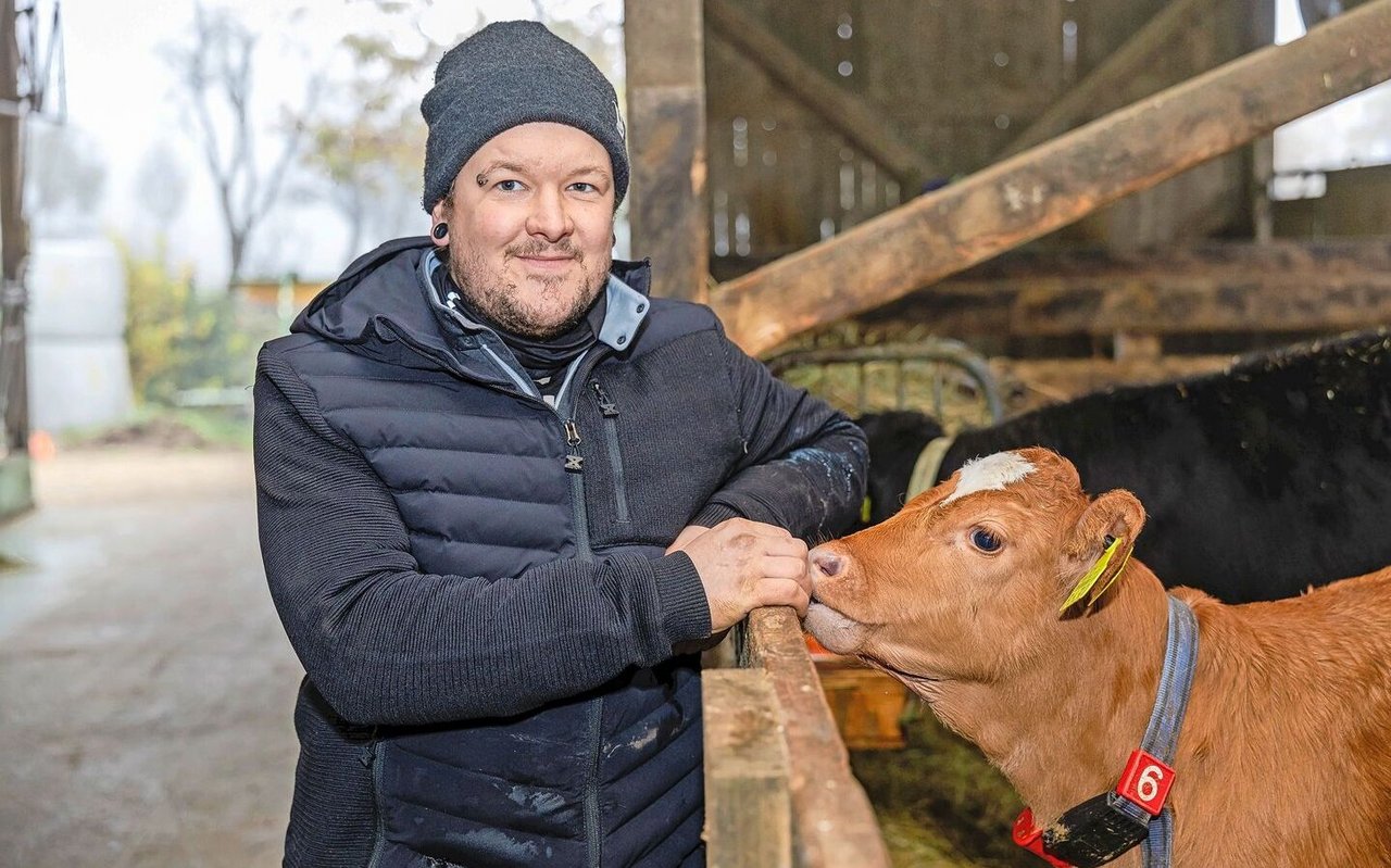 Philipp Zweifel behält alle Mastkälber auf dem Betrieb, liefert sie anschliessend an eine regionale Metzgerei und vermarktet ein Teil des Fleisches selbst.