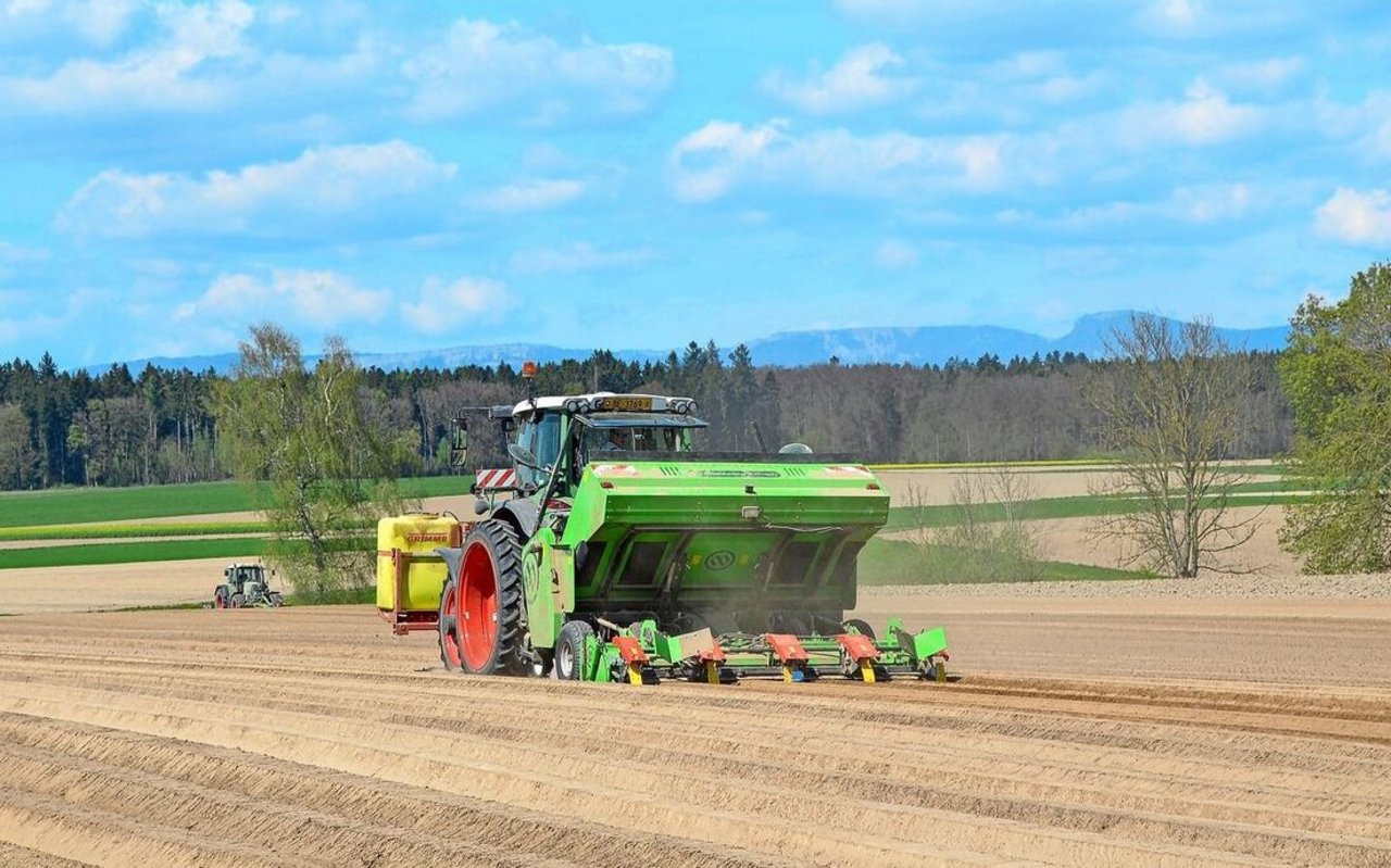 Aufgrund der vielen Niederschläge gab es im Frühjahr vielerorts Verzögerungen bei der Auspflanzung der Kartoffeln.