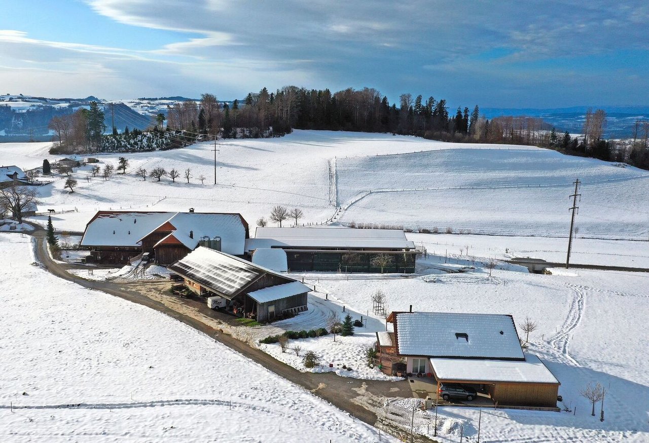 Der Gysi-Hof liegt eingangs Emmental und erfreut sich einer treuen Kundschaft. Direktvermarktung ist für die Weihnachtsbaum-Produktion äusserst wichtig.