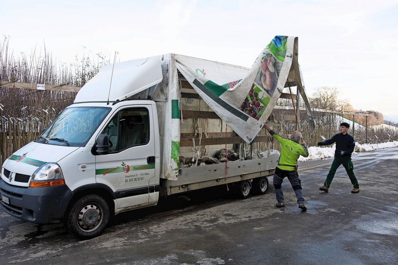 Ruedi Glauser und Nils Kernen, im ersten Lehrjahr als Baumschulist, machen den Lieferwagen für die Tour am nächsten Tag bereit.