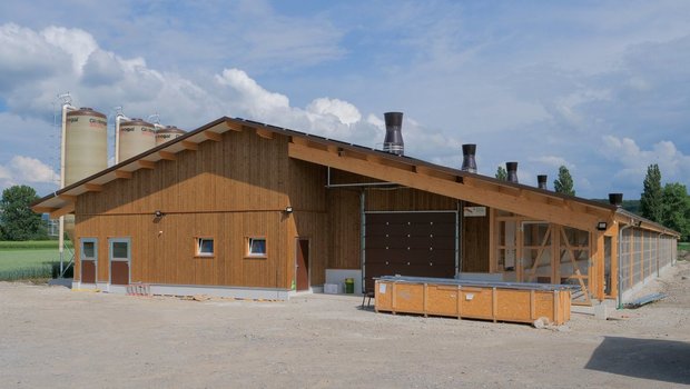 Geflügelställe sind Normställe, bei welchen kaum Anpassungen vorgenommen werden können.