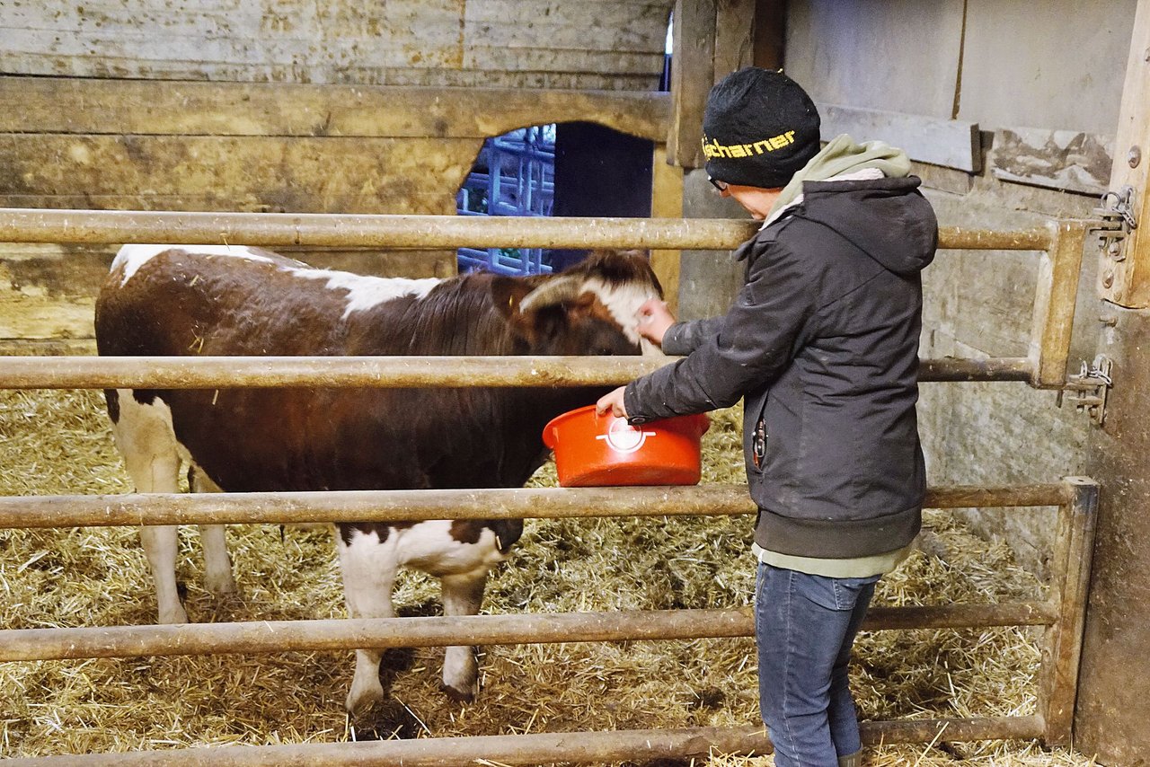 Fabienne Buchli gewöhnt Pierro an das Becken mit Chrüsch. (Bild: M. Götz)