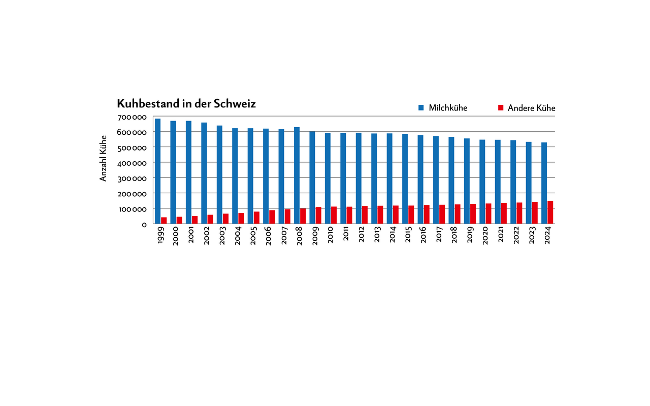 Die Anzahl der Milchkühe sinkt und sinkt. Was hingegen stetig zunimmt, ist die Anzahl der Mutterkühe und damit das Total an Rindvieh.