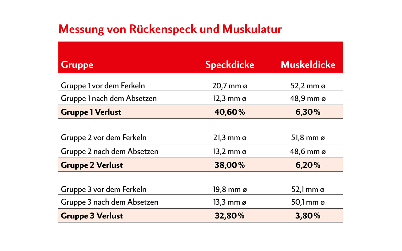 Die Auswertung zeigt zu hohe Verluste von Rückenspeckdicke und Muskulatur, gemessen auf Höhe der letzten Rippe.