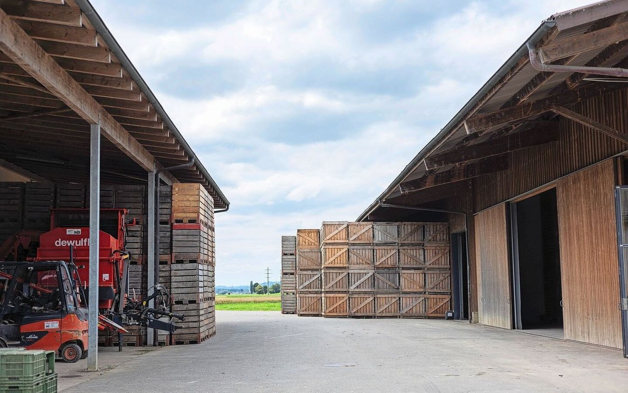 In den Paloxen wird das Gemüse in den klimatisierten Hallen einge-lagert. Um dort die Temperaturen und die Luft-feuchtigkeit zu regeln, findet ein dauernder Strombezugstatt.