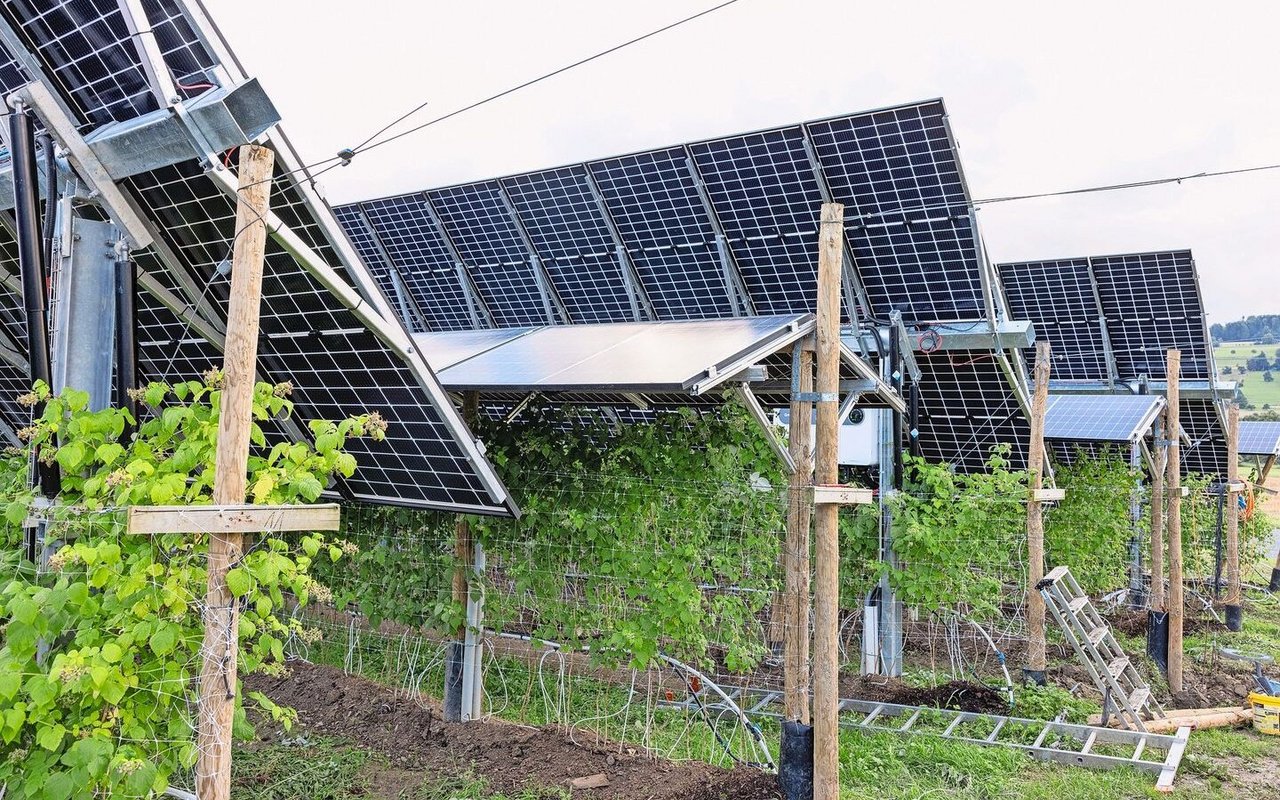 Die «Agrotrack»-Anlage mit verstellbaren Panels folgt dem Sonnenstand.