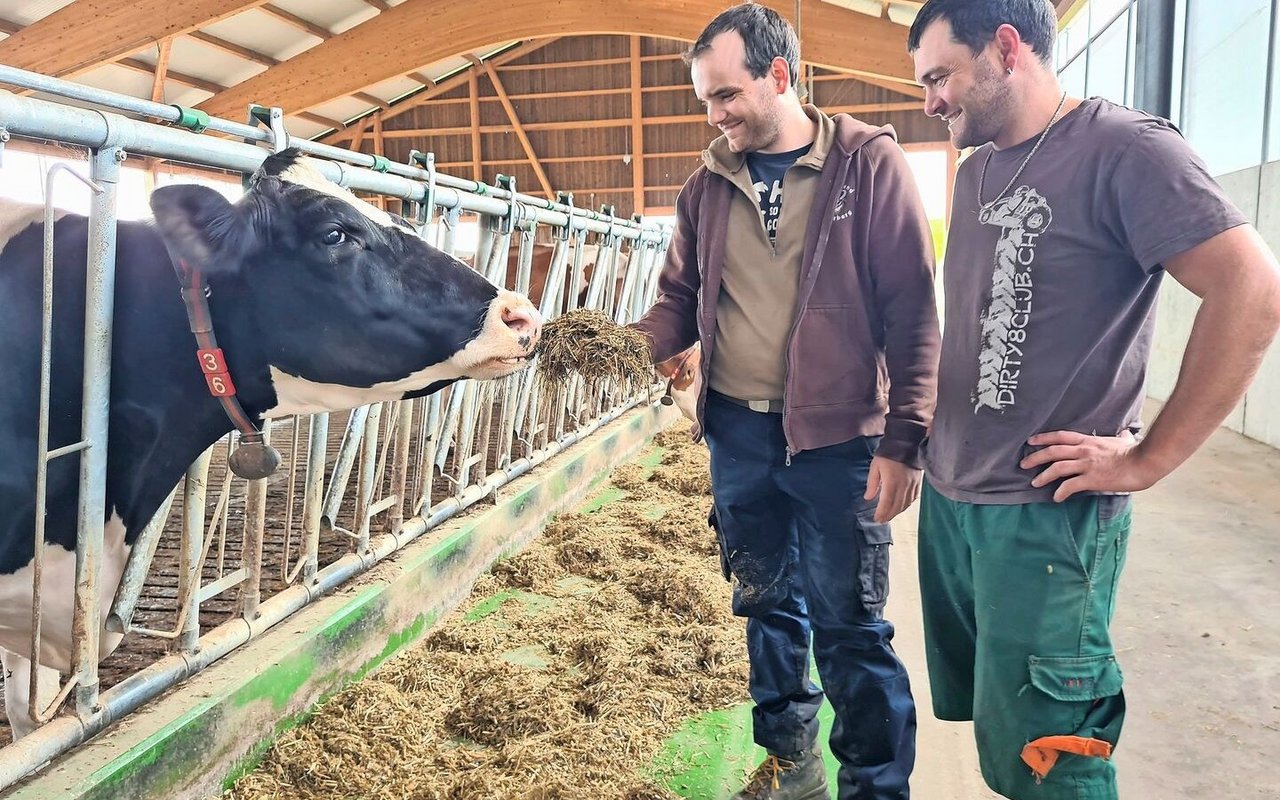 Marco Kronauer (links) und sein Bruder Michaelwollen nichts dem Zufall überlassen, um den Kühen bestmögliches Raufutter vorzulegen.