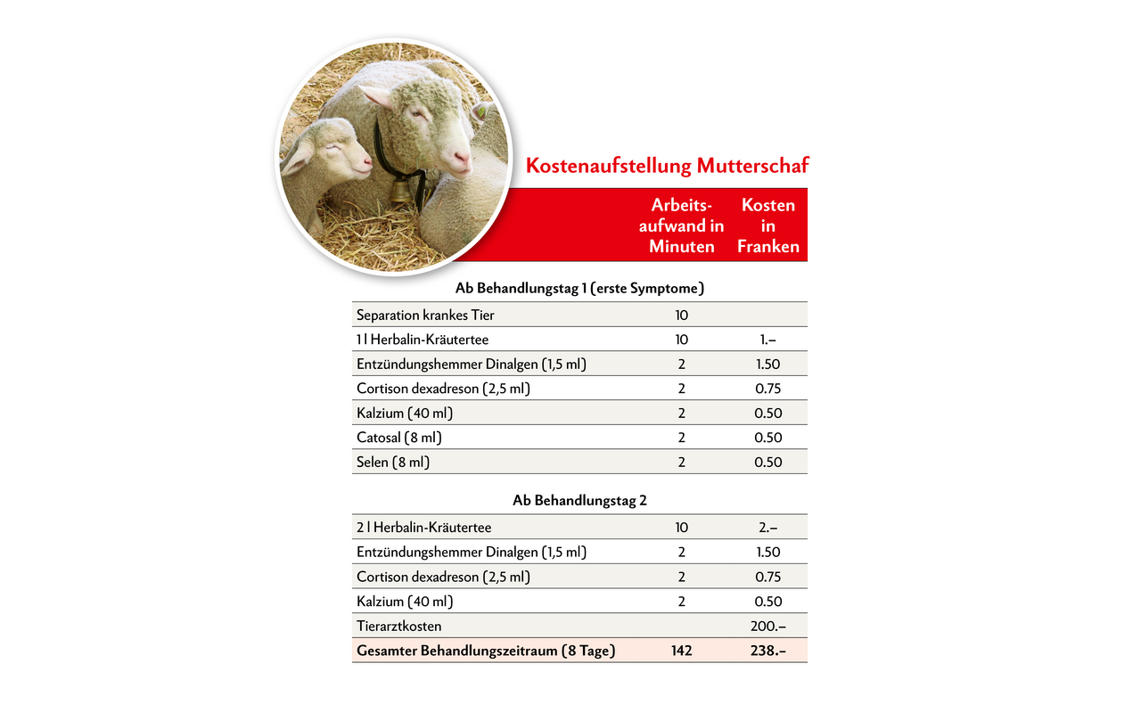 Die Tabelle zeigt die geschätzten Behandlungskosten und den geschätzten Arbeitsaufwand bei einer BTV-3-Erkrankung für ein 80 kg schweres Mutterschaf während eines Zeitraums von 8 Tagen. Quelle: Strickhof 